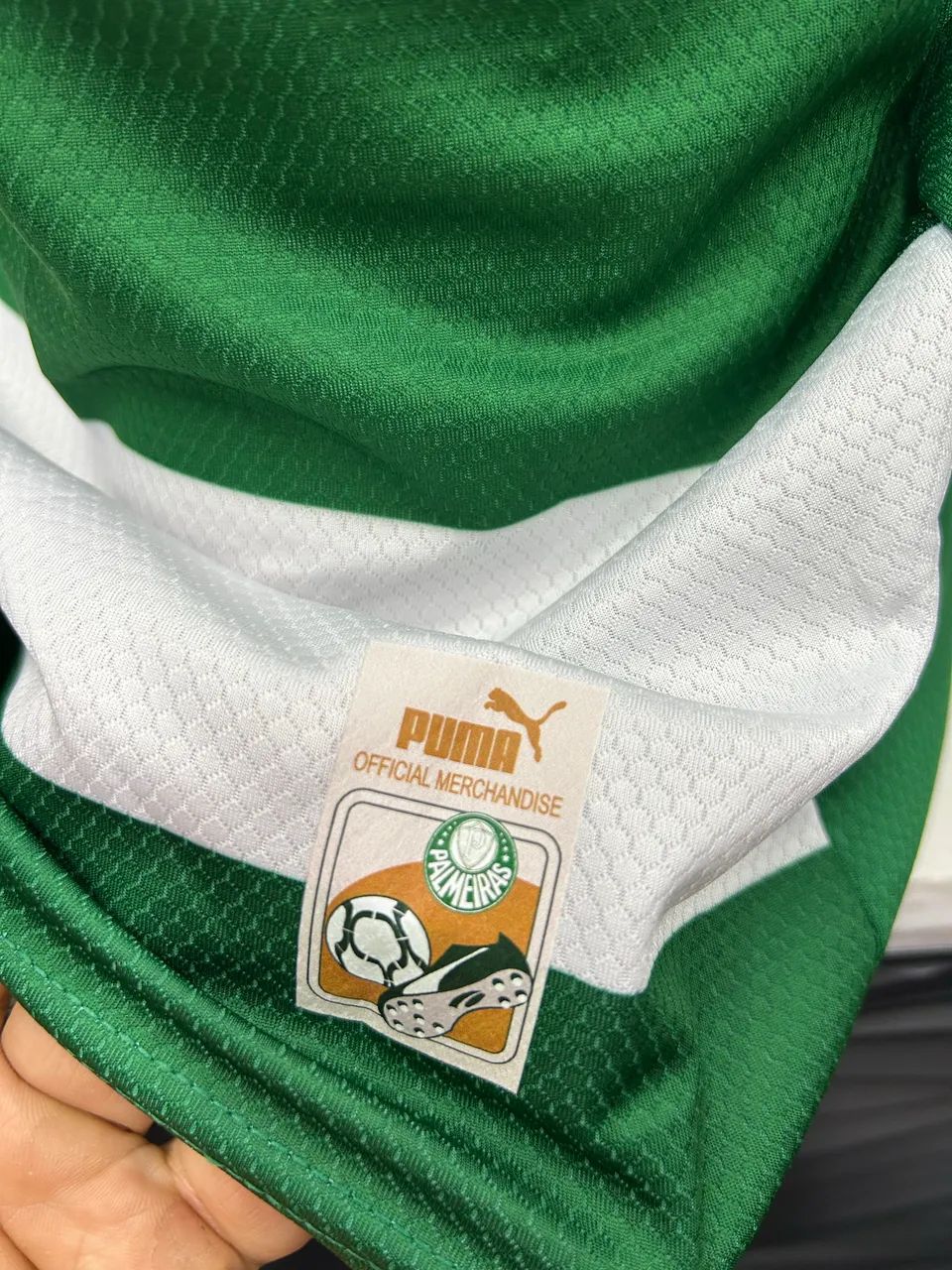 Palmeiras Fourth 25/26 Torcedor Puma Masculino - Verde e Branco