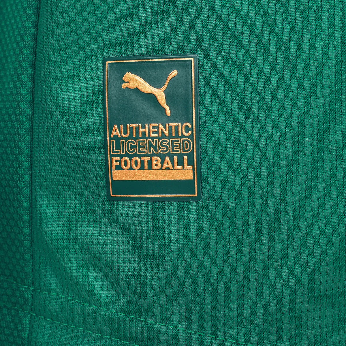 Palmeiras Home 26/27 Jogador Puma Masculina - Verde