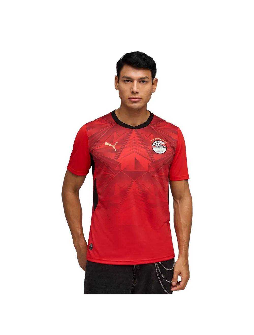 Egito Home 26/27 Masculino Torcedor Puma - Vermelho
