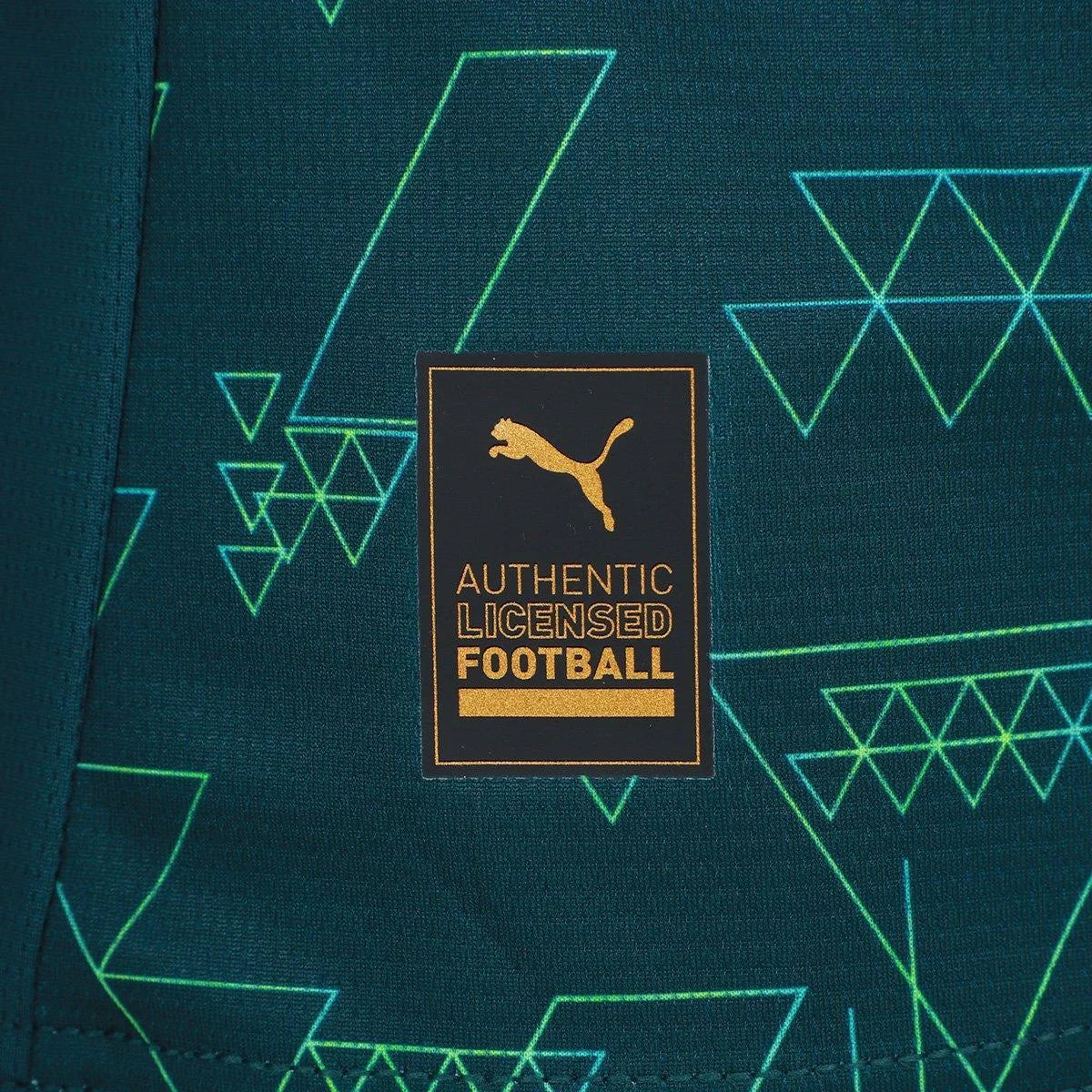 Manchester City Fourth 25/26 Jogador Puma  - Verde