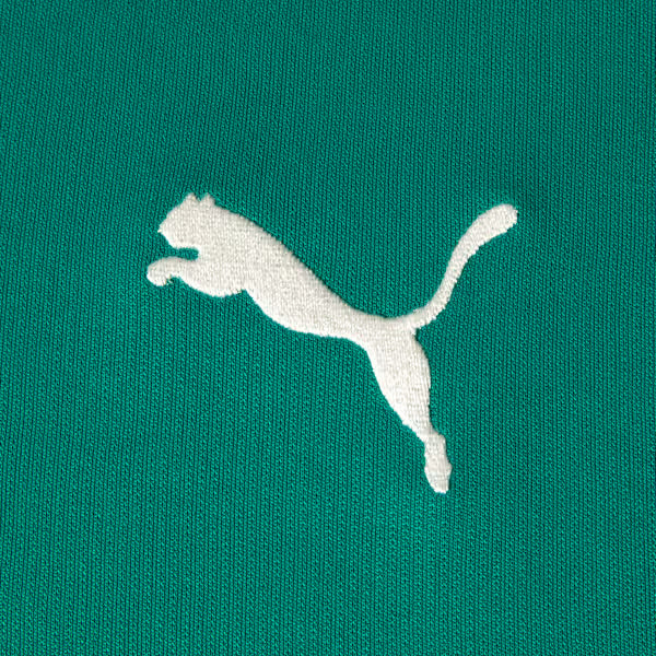 Palmeiras Edição Especial Evostripe 26/27 Masculino Torcedor Puma - Verde
