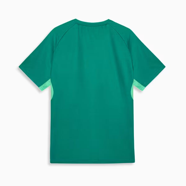 Palmeiras Edição Especial Evostripe 26/27 Masculino Torcedor Puma - Verde