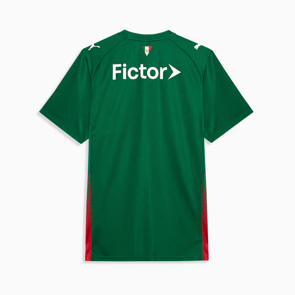Palmeiras Home 26/27 Masculino Torcedor Puma - Verde
