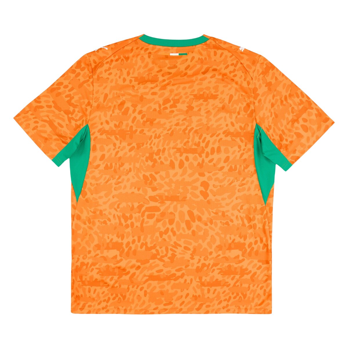 Costa do Marfim Home 26/27 Torcedor Puma - Laranja